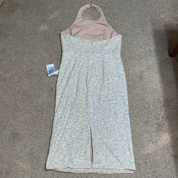 Dress the Population Cream Halter Dress - Picture 7 of 12